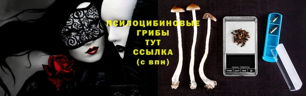 МДМА Медвежьегорск