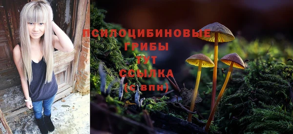 гашиш Медногорск
