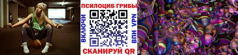 закладка Троицк Галлюциногенные грибы MAGIC MUSHROOMS
